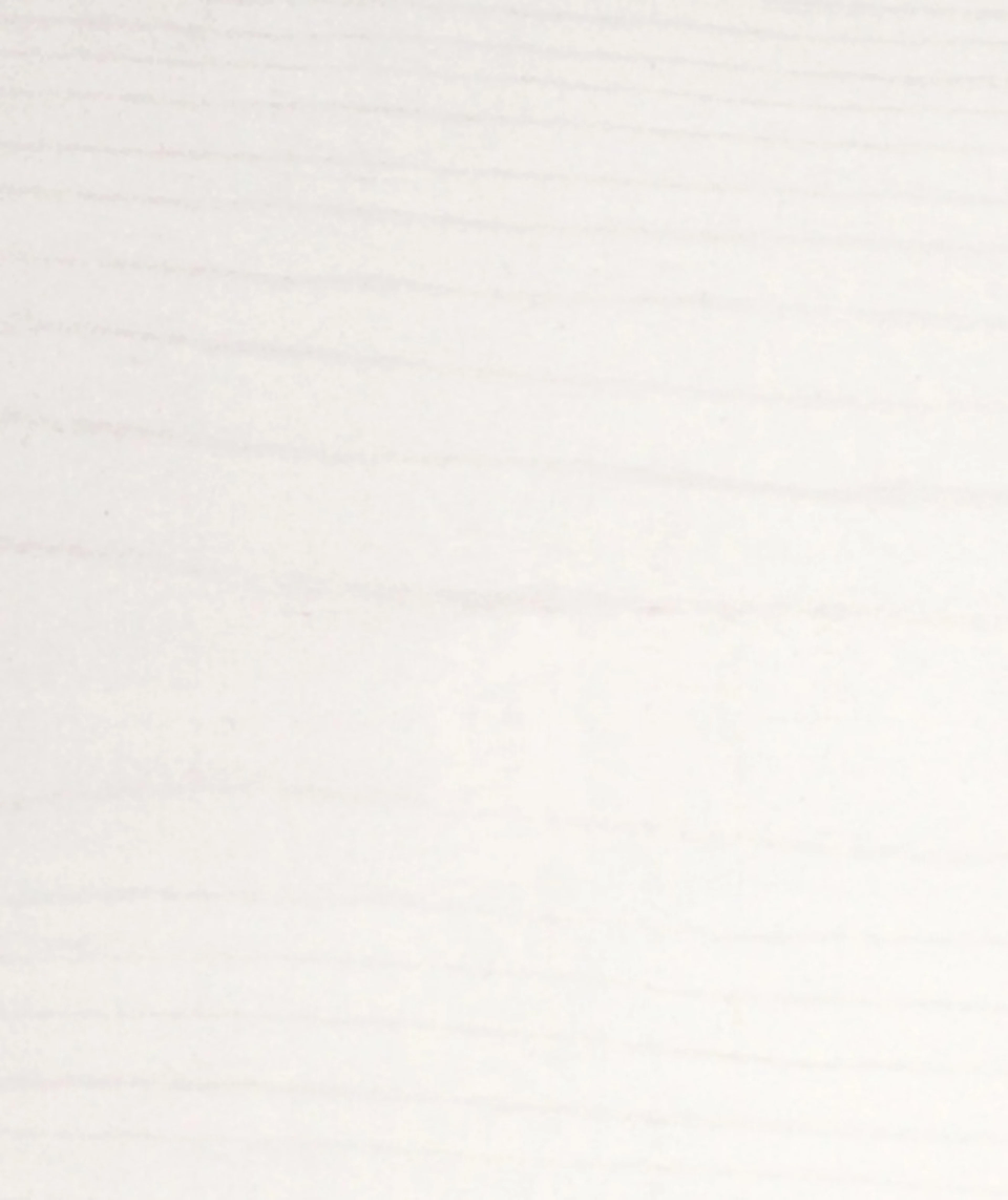 Belgian White - Solid White