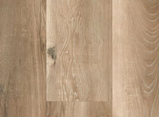 Seaboard Oak
