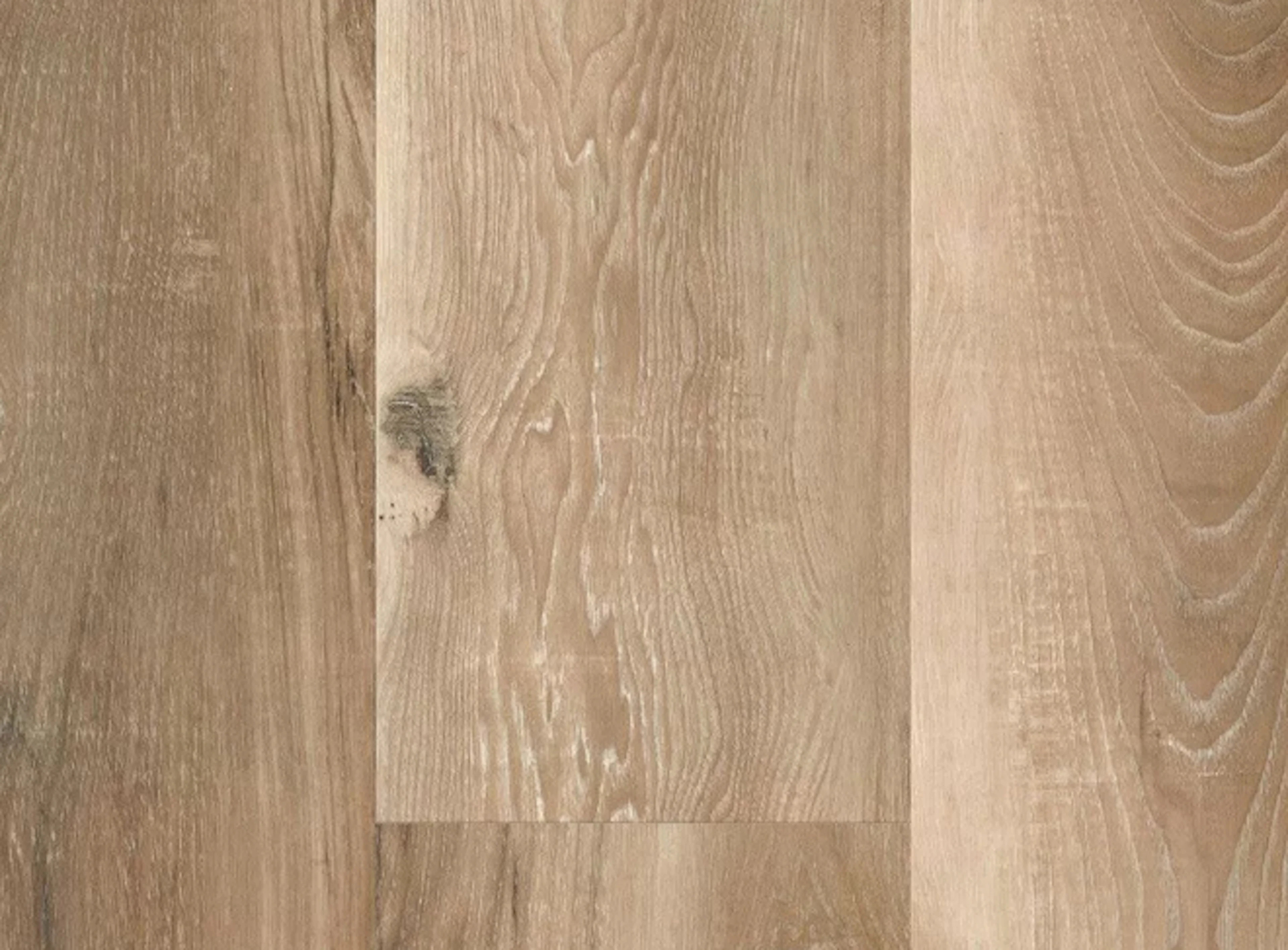 Seaboard Oak