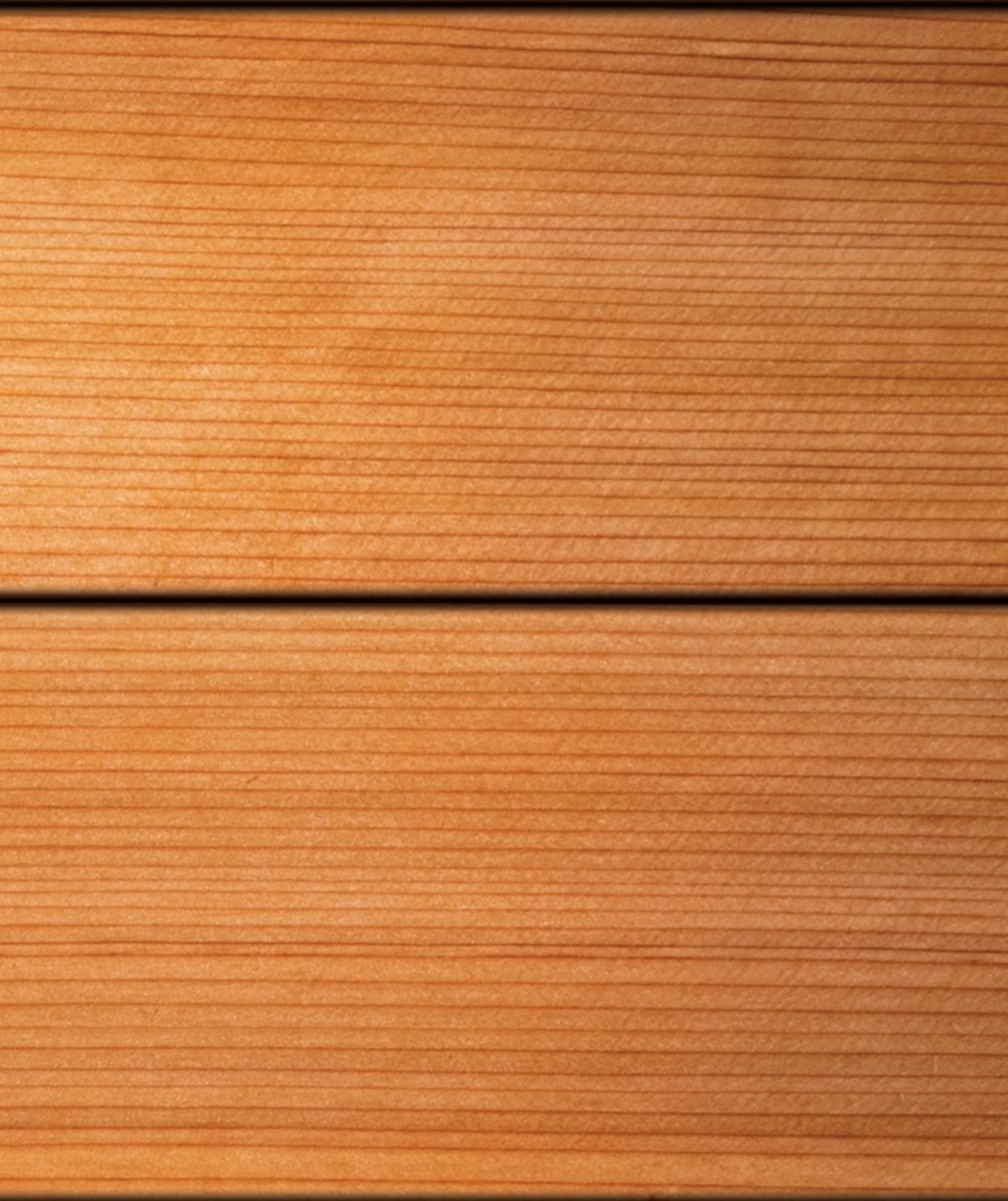 Cedar